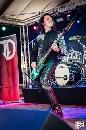 terradown color smoll-8.JPG